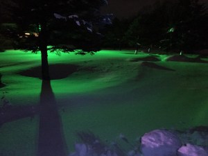 モチーフと緑色