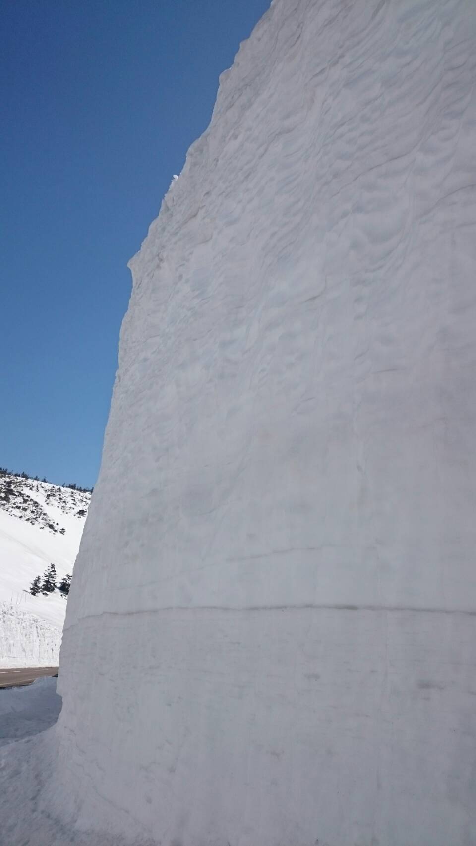 雪の回廊